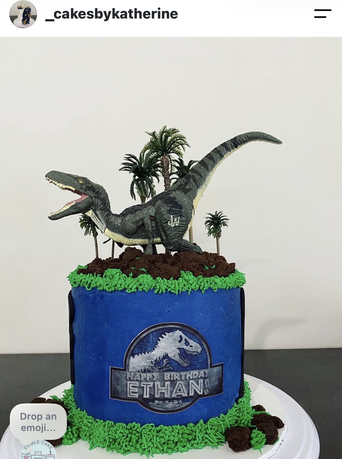 Jurassic World Inspired (can be personalised) | Edible Icing Images - Image 2